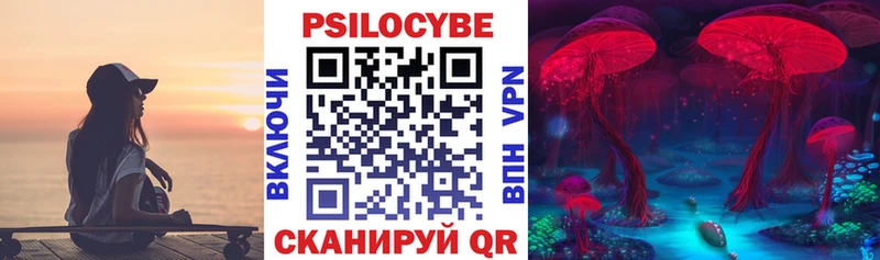 Галлюциногенные грибы MAGIC MUSHROOMS  Купить где  Юхнов 